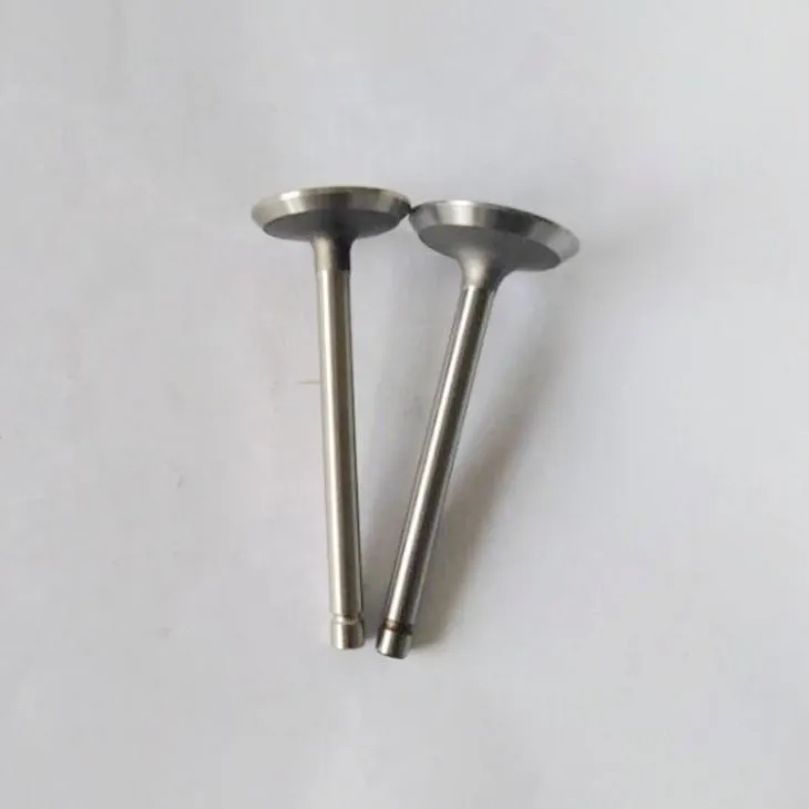 3.motorcycle Inlet and Exhaust Valve