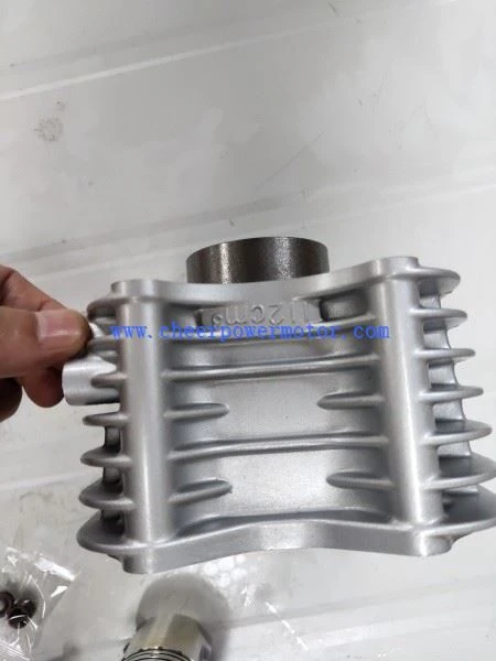 Suzuki AX4 Cylinder Kit