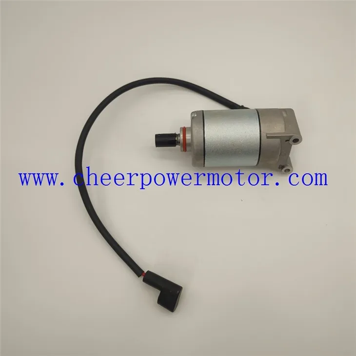 Modur Cychwyn Beic Modur (ar gyfer Modur Aer Cŵl) Ar gyfer Z1 BROTHER